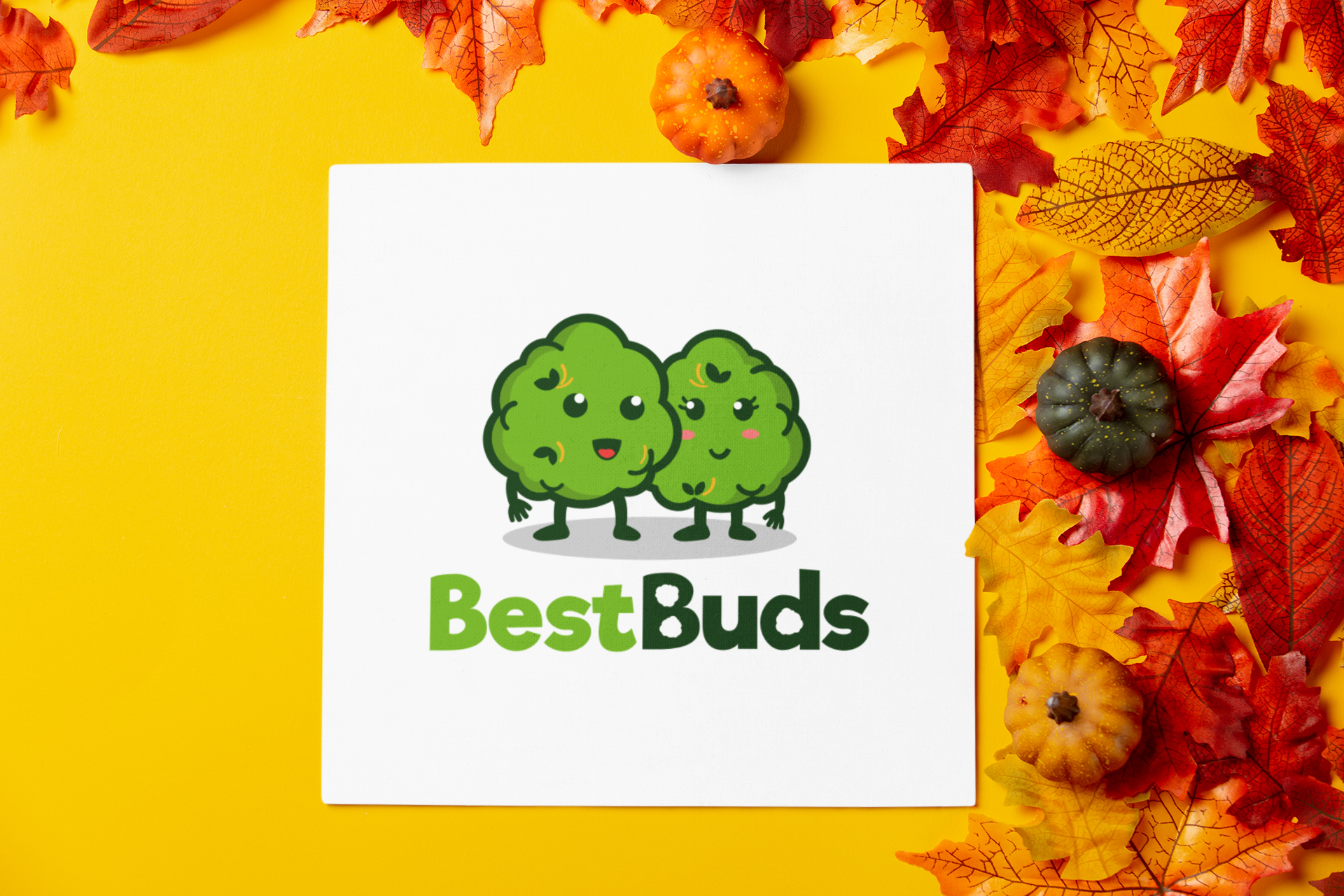 Load video: Best Buds Promo